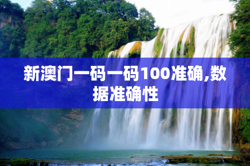 新澳门一码一码100准确,数据准确性