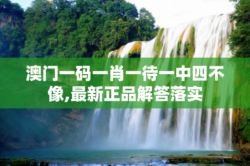 澳门一码一肖一待一中四不像,最新正品解答落实