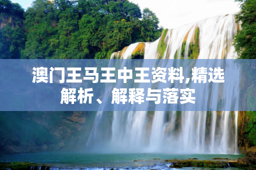 澳门王马王中王资料,精选解析、解释与落实