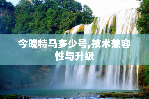 今晚特马多少号,技术兼容性与升级