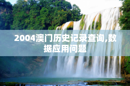 2004澳门历史记录查询,数据应用问题