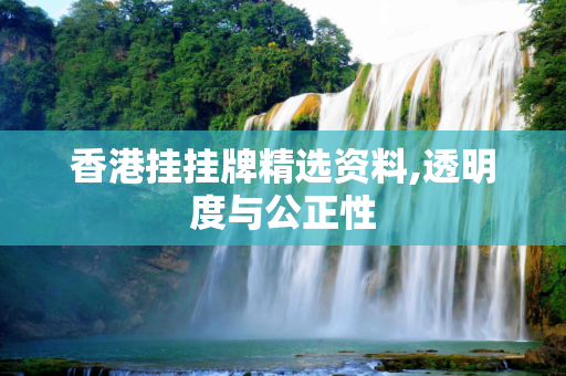 香港挂挂牌精选资料,透明度与公正性