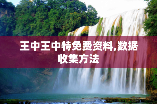 王中王中特免费资料,数据收集方法