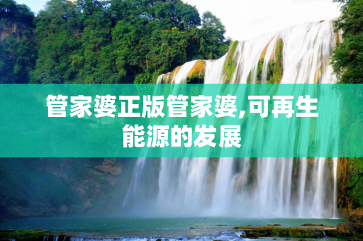管家婆正版管家婆,可再生能源的发展