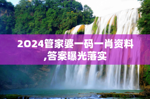 2O24管家婆一码一肖资料,答案曝光落实