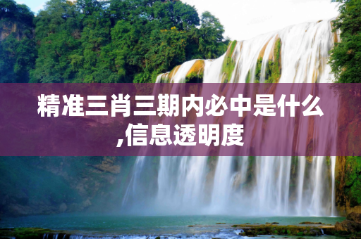 精准三肖三期内必中是什么,信息透明度