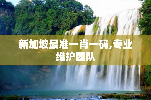 新加坡最准一肖一码,专业维护团队