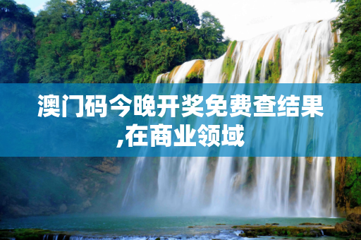 澳门码今晚开奖免费查结果,在商业领域