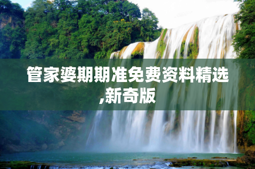 管家婆期期准免费资料精选,新奇版