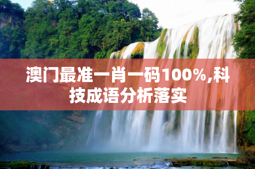 澳门最准一肖一码100%,科技成语分析落实