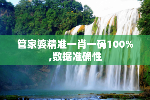 管家婆精准一肖一码100%,数据准确性