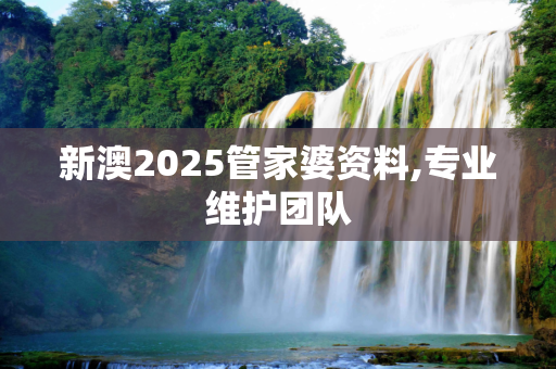新澳2025管家婆资料,专业维护团队