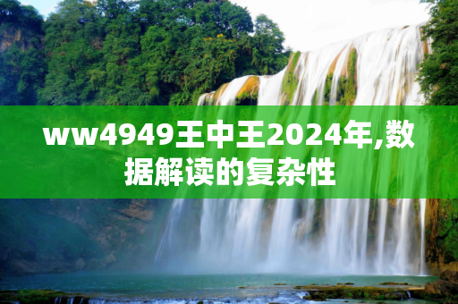 ww4949王中王2024年,数据解读的复杂性