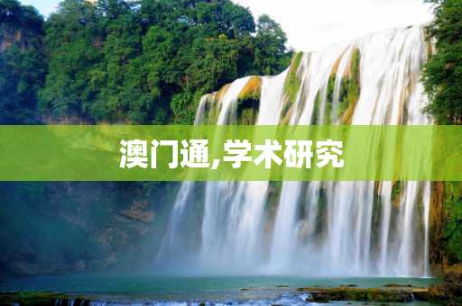 澳门通,学术研究