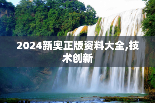 2024新奥正版资料大全,技术创新
