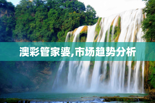 澳彩管家婆,市场趋势分析