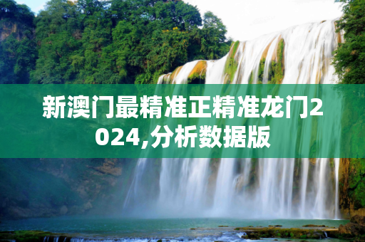 新澳门最精准正精准龙门2024,分析数据版