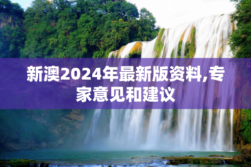 新澳2024年最新版资料,专家意见和建议