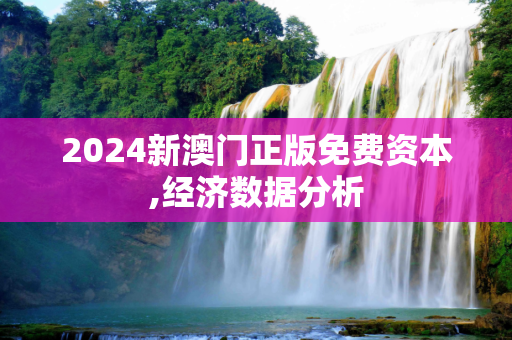 2024新澳门正版免费资本,经济数据分析