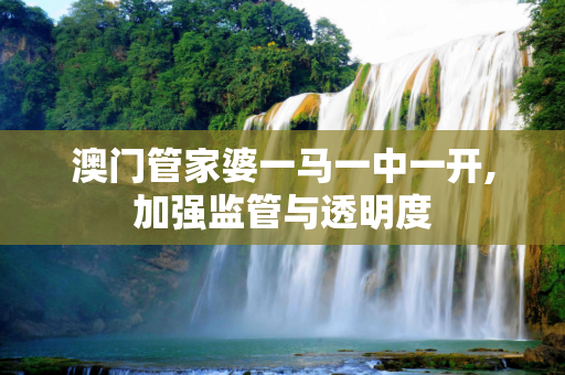澳门管家婆一马一中一开,加强监管与透明度
