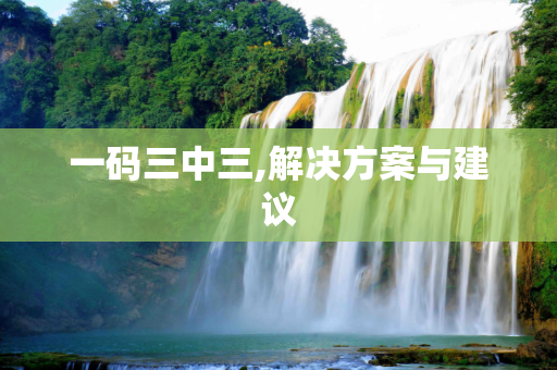 一码三中三,解决方案与建议