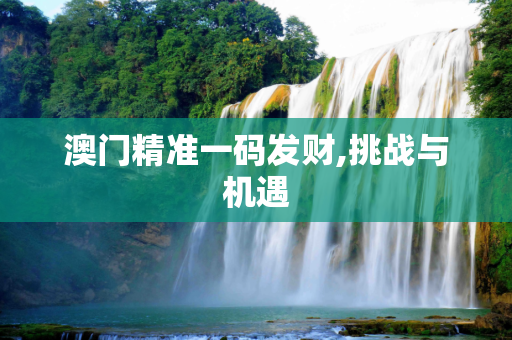 澳门精准一码发财,挑战与机遇