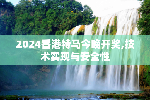 2024香港特马今晚开奖,技术实现与安全性
