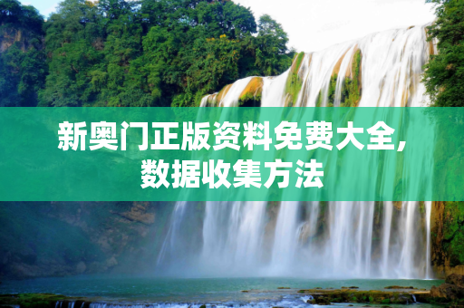 新奥门正版资料免费大全,数据收集方法