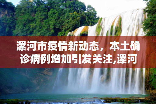 漯河市疫情新动态，本土确诊病例增加引发关注,漯河新增本土确诊