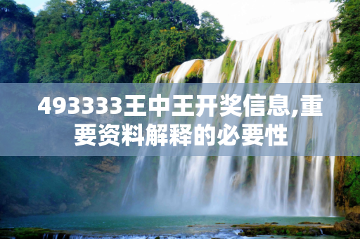 493333王中王开奖信息,重要资料解释的必要性