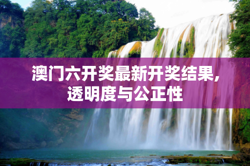 澳门六开奖最新开奖结果,透明度与公正性