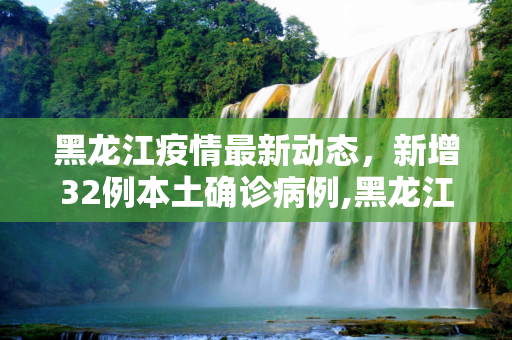 黑龙江疫情最新动态，新增32例本土确诊病例,黑龙江新增32例本土确诊病例