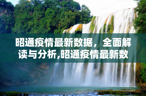 昭通疫情最新数据，全面解读与分析,昭通疫情最新数据
