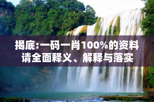 揭底:一码一肖100%的资料请全面释义、解释与落实