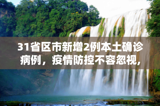 31省区市新增2例本土确诊病例，疫情防控不容忽视,31省区市新增2例本土确诊病例