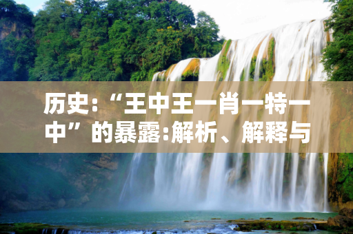 历史:“王中王一肖一特一中”的暴露:解析、解释与落实