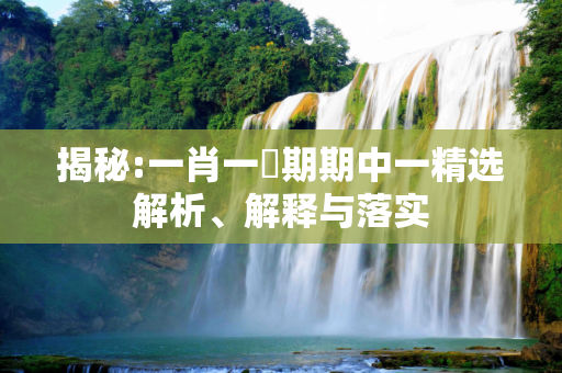 揭秘:一肖一碼期期中一精选解析、解释与落实