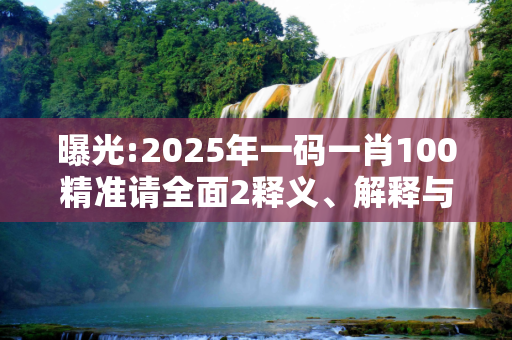 曝光:2025年一码一肖100精准请全面2释义、解释与落实