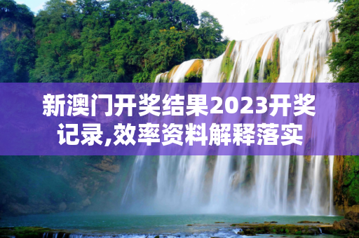 新澳门开奖结果2023开奖记录,效率资料解释落实