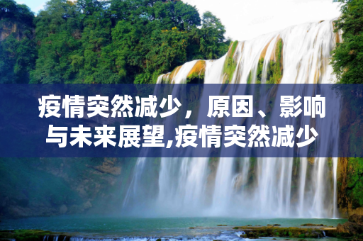 疫情突然减少，原因、影响与未来展望,疫情突然减少