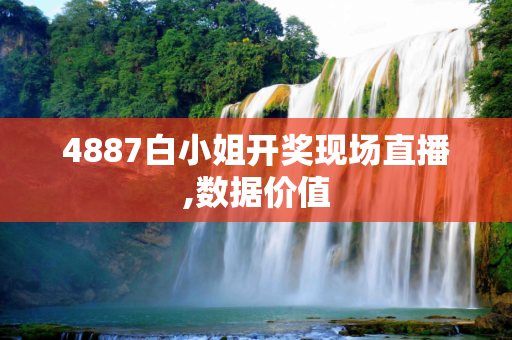 4887白小姐开奖现场直播,数据价值