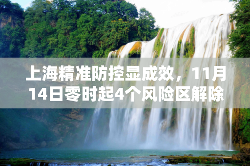 上海精准防控显成效，11月14日零时起4个风险区解除管控,11月14日零时起上海4个风险区解除管控