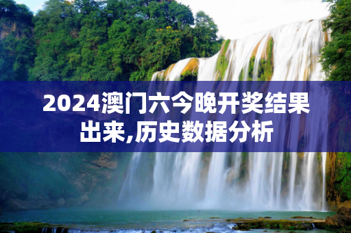2024澳门六今晚开奖结果出来,历史数据分析