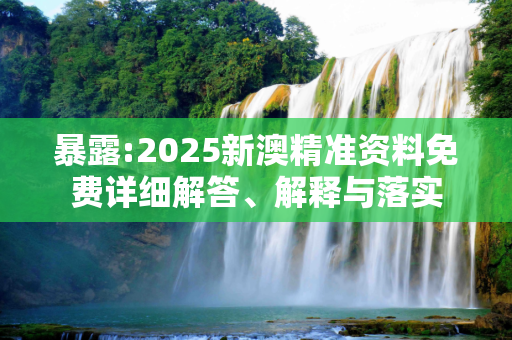 暴露:2025新澳精准资料免费详细解答、解释与落实