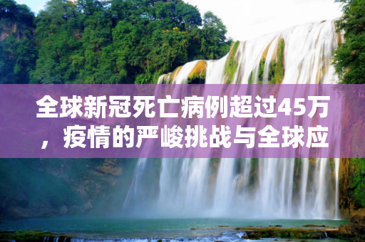 全球新冠死亡病例超过45万，疫情的严峻挑战与全球应对,全球新冠死亡病例超过45万