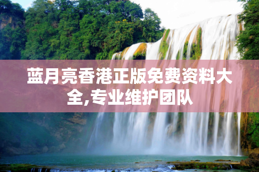 蓝月亮香港正版免费资料大全,专业维护团队