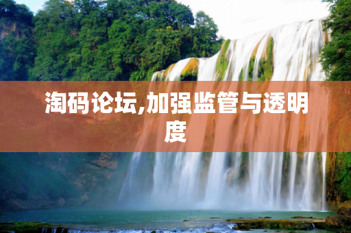 淘码论坛,加强监管与透明度