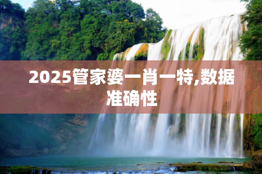 2025管家婆一肖一特,数据准确性