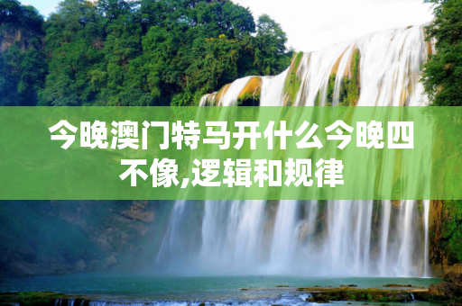 今晚澳门特马开什么今晚四不像,逻辑和规律