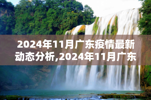 2024年11月广东疫情最新动态分析,2024年11月广东疫情最新动态分析